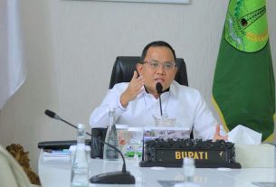Bupati Dodi Reza Jadi Narasumber Muba Environment Webinar Forum 2021