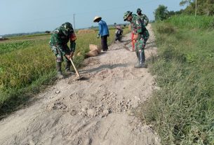 Material Tanah Urugan Terus Didroping Oleh Truck Pengangkut