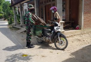 Berburu Kardus Bekas, Hasilnya Menjanjikan