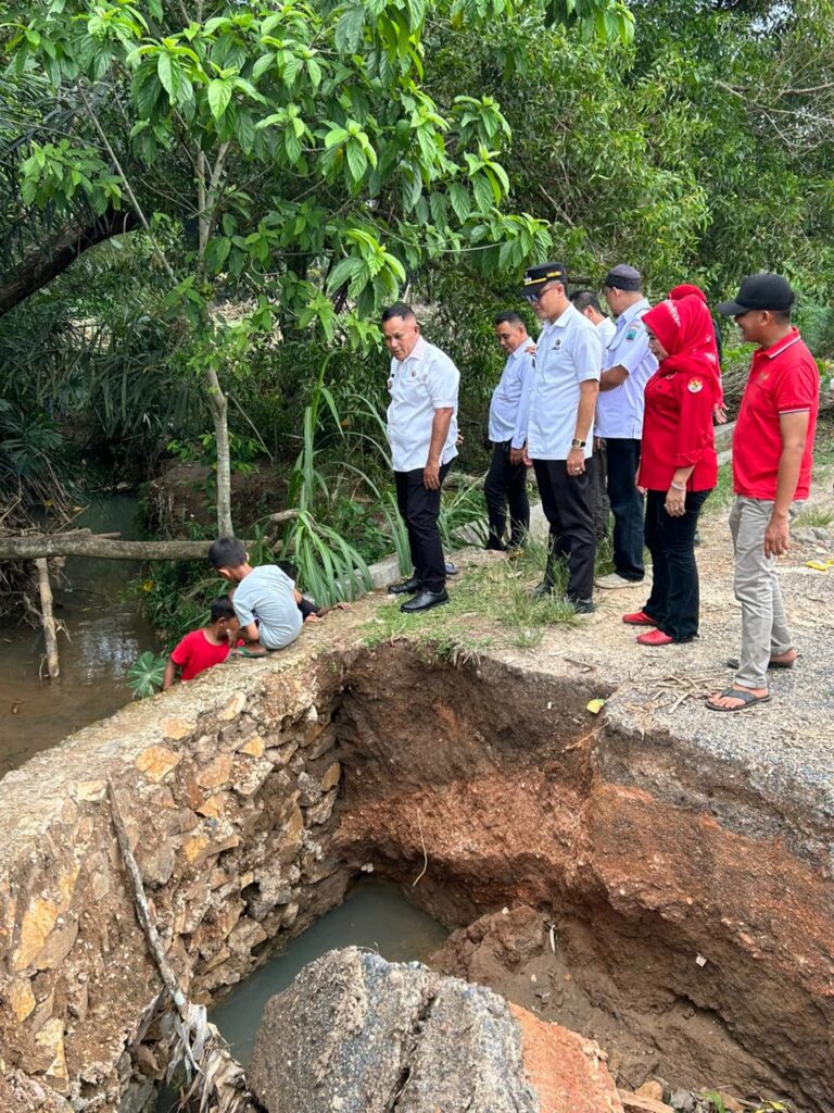 Bupati Lampung Selatan Perintahkan segera Perbaiki Jembatan di Desa Sumberjaya Kecamatan Jati Agung