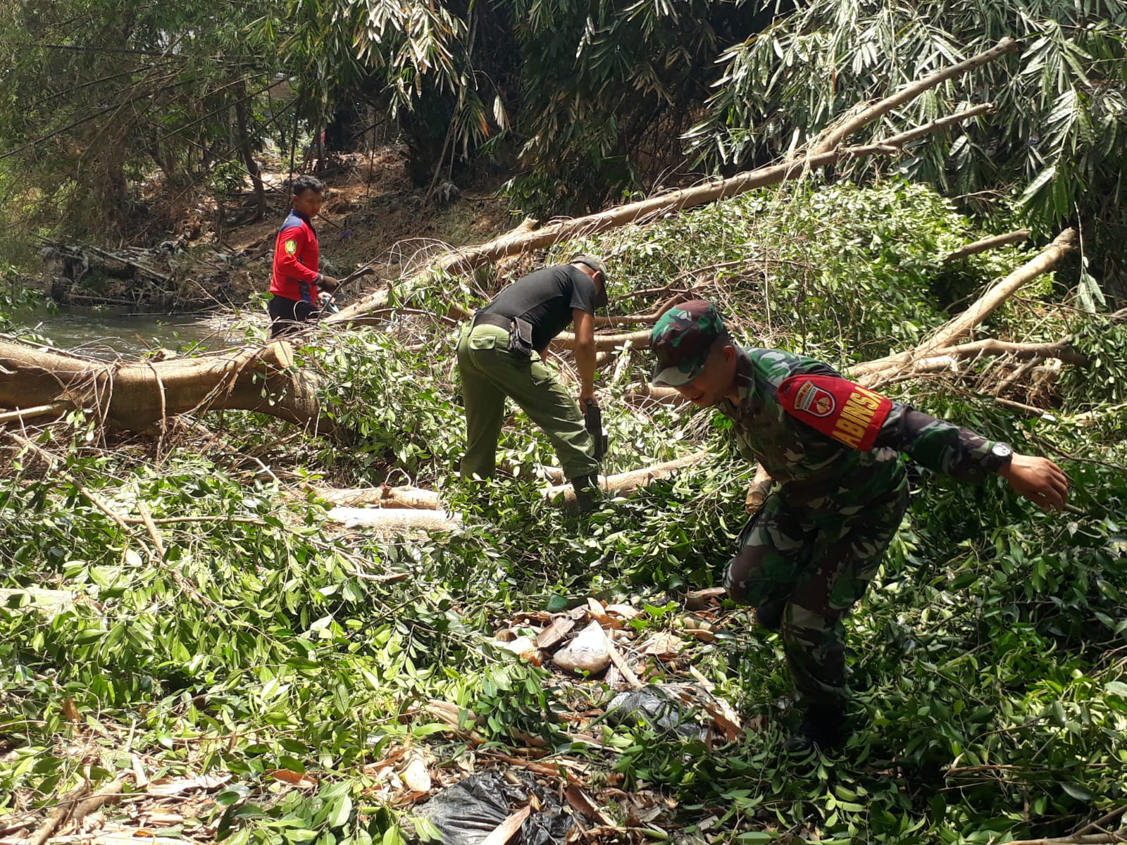 Evakuasi Pohon Tumbang di Tengah Sungai Paska Angin Kencang, Babinsa Laweyan Turun Tangan