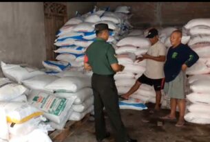 Pengecekan Pupuk Secara Intensif Selalu di Laksanakan Babinsa Gilirejo
