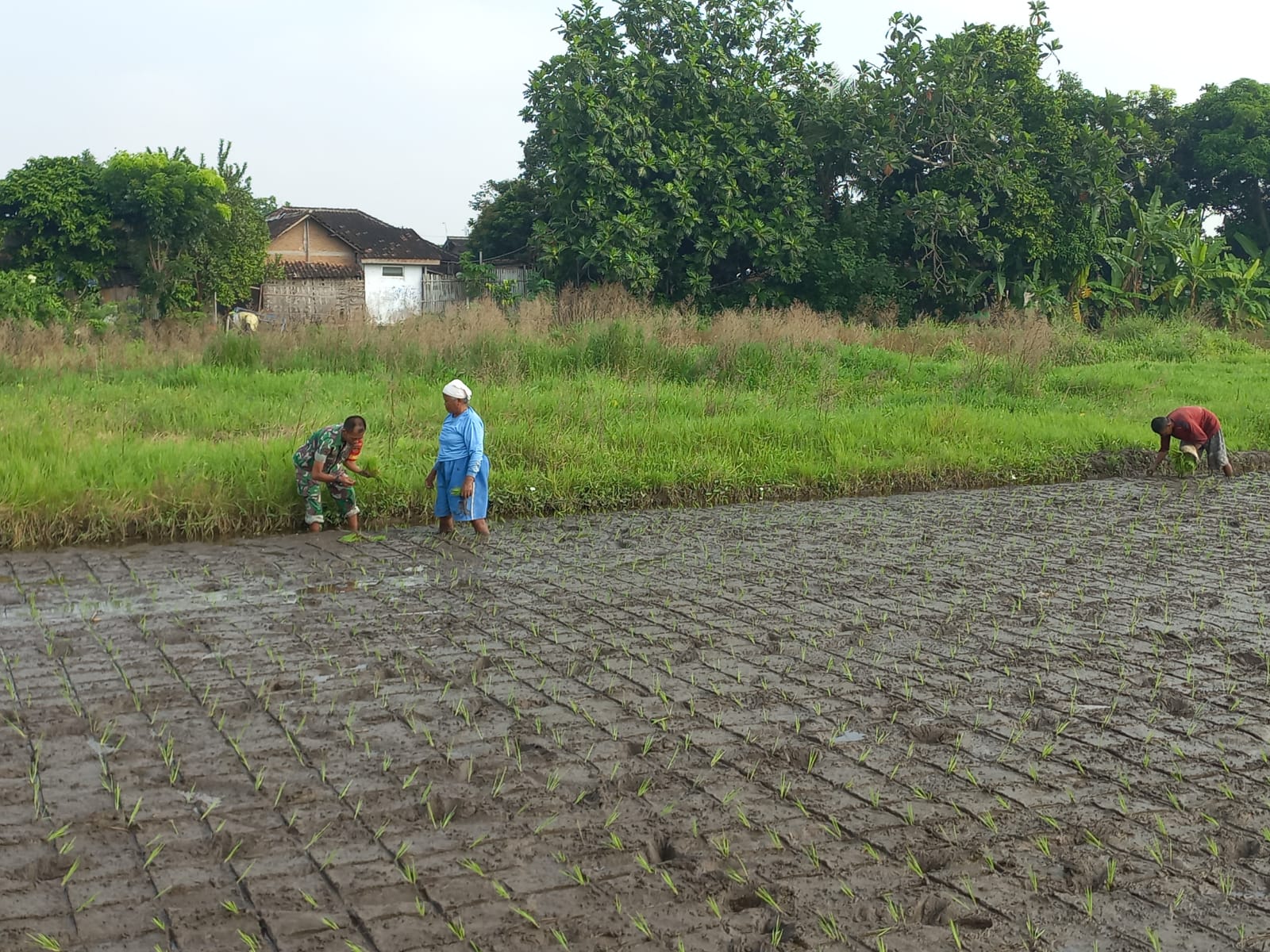 Babinsa Harus Aktif Dan Beri Kontribusi di Wilayah Binaanya