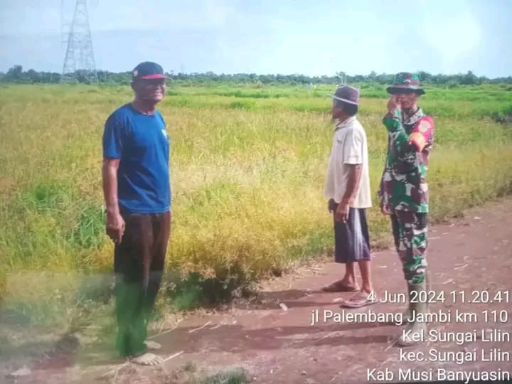 Babinsa Koramil 401-01/SL dan Kelompok Tani Bersinergi Untuk Ketahanan Pangan