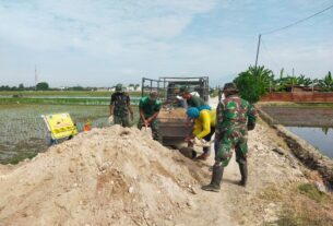 Droping Tanah urug tidak ada kendala, Proses Finishing Pengurugan Berm Terus Berjalan