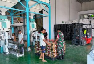 Inilah Peran Babinsa dalam Pemantauan Stok Beras di Bulog