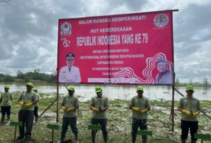 Cegah Abrasi Dan Hijaukan Alam, Forkopimda Aceh Barat Tanam Bibit Mangrove Dibibir Pantai Calok Padang Seurahet