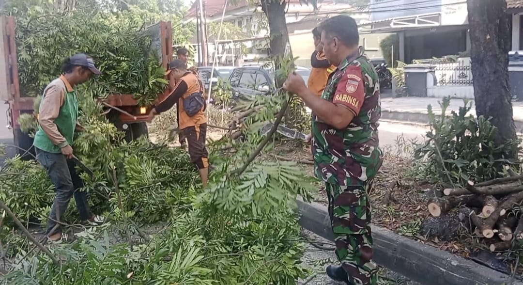 Demi Keselamatan Warga, Babinsa Penumping Bersama DLH Laksanakan Penebangan Pohon