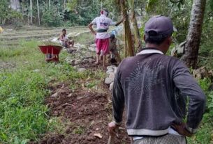 Pemerintahan pekon Pajar bulan buka Jalan Usaha tani