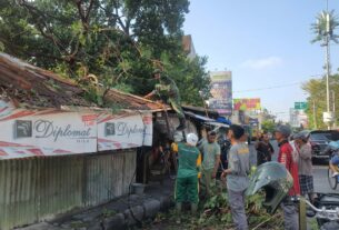Sigap...!! Babinsa Joyotakan Bantu Evakusai Pohon Tumbang di Wilayah Binaan