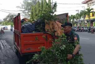 Pelihara Keindahan Taman, Babinsa Kelurahan Ketelan Bersama Tim Saberling Laksanakan Pembersihan