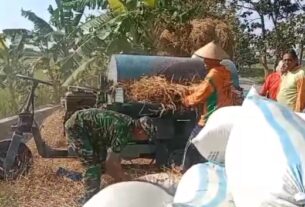 Wujudkan Swasembada Pangan, Bantu Petani Panen Padi