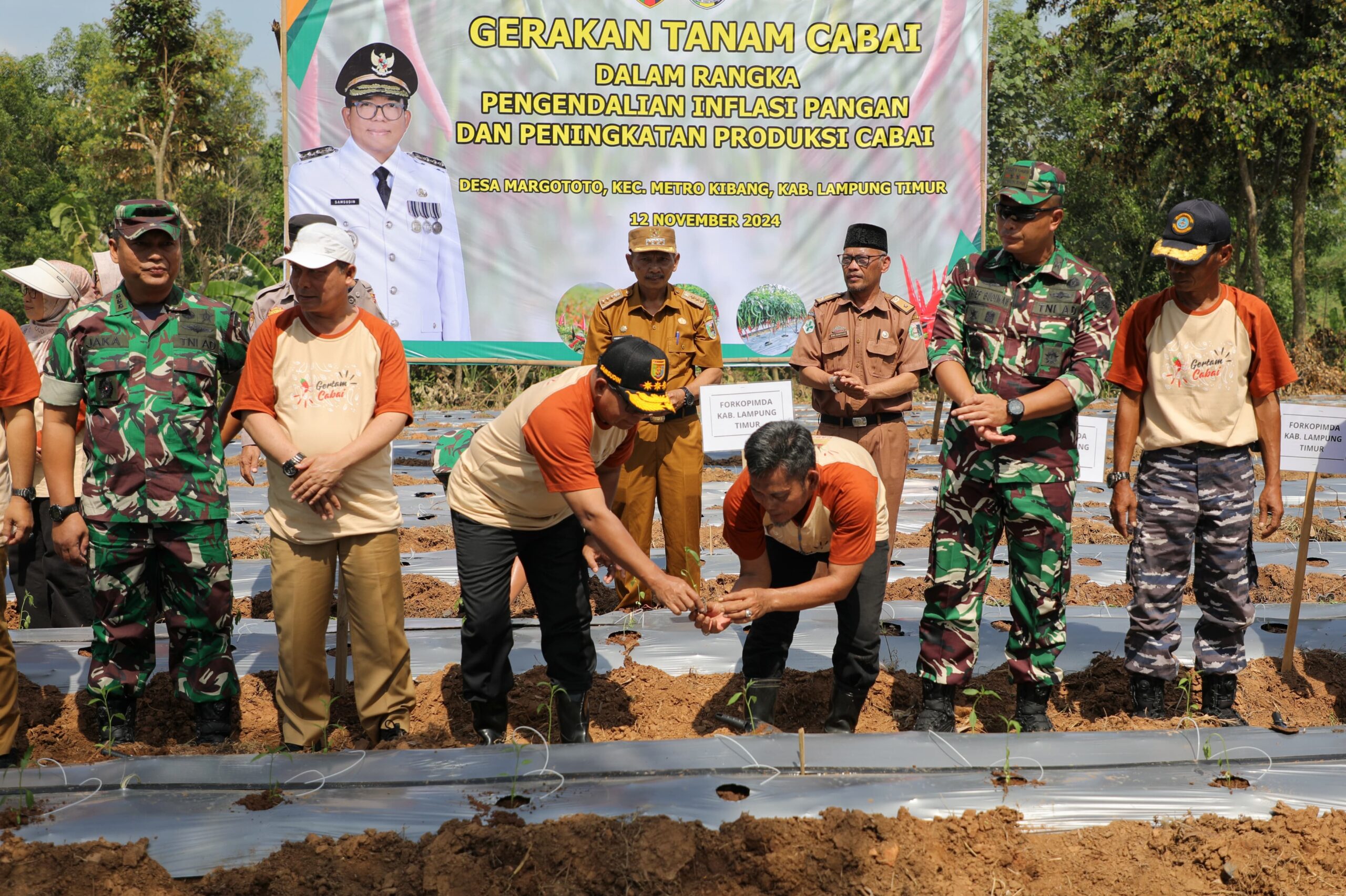 Pj. Gubernur Samsudin Tanam Cabai di Lampung Timur, Dimulainya Gerakan Tanam Cabai dalam Rangka Pengendalian Inflasi Pangan di Provinsi Lampung