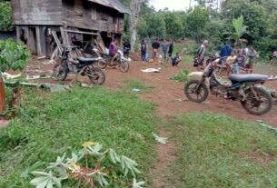 Gajah masuk pemukiman Satu warga Tanggamus tewas