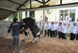 Pj. Gubernur Samsudin Tinjau Sarana dan Prasarana Balai Inseminasi Buatan dalam Memproses Semen/Mani Sapi Beku di UPTD BIBD Disnak Keswan di Terbanggi Besar, Lampung Tengah