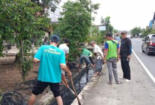 Menjelang HUT Pekon Sukanegeri jaya, aparatur dan warga Gotong royong