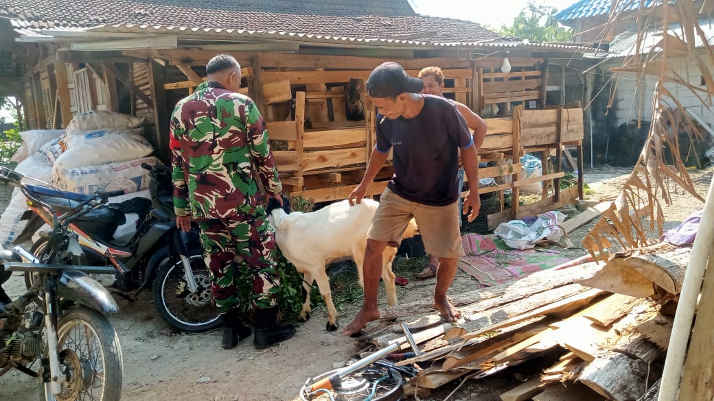 Babinsa Kemusu Berbagi Ilmu Dengan Peternak Desa Ketoyan