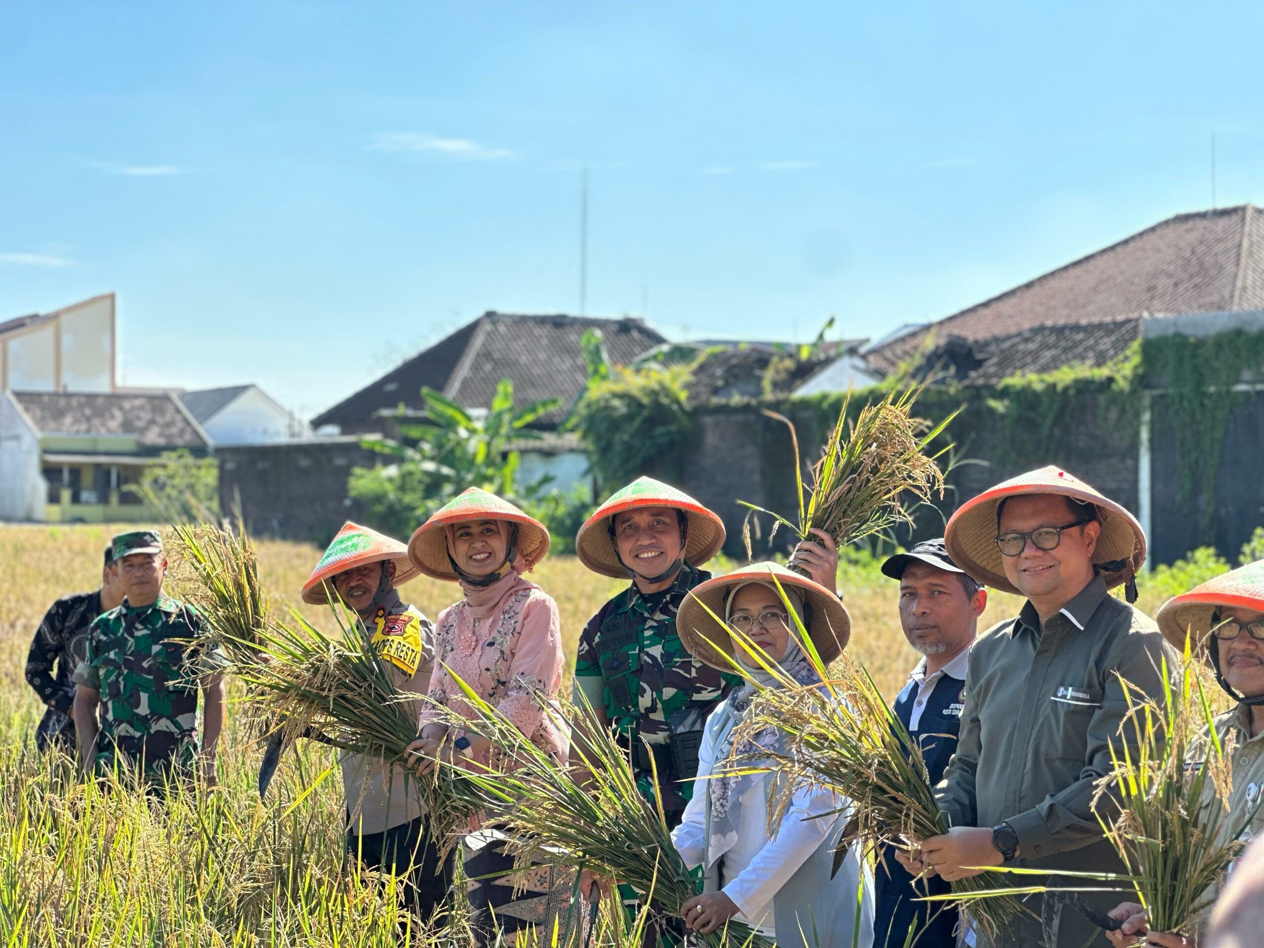 Panen Raya Padi di Solo, Kolaborasi Petani Dan TNI Serta Pemerintah Daerah Jaga Ketahanan Pangan